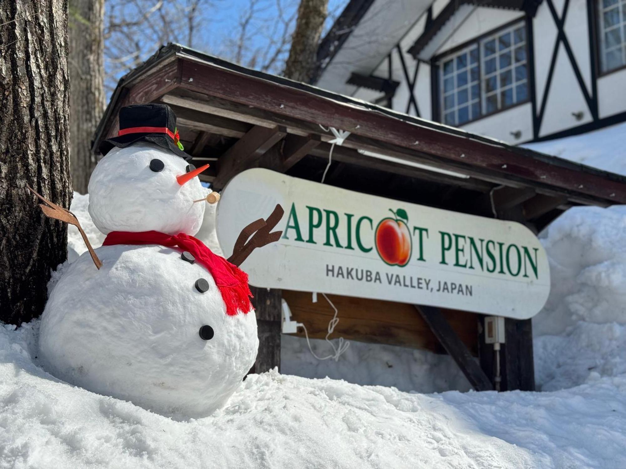 Apricot Pension Hakuba Exteriör bild