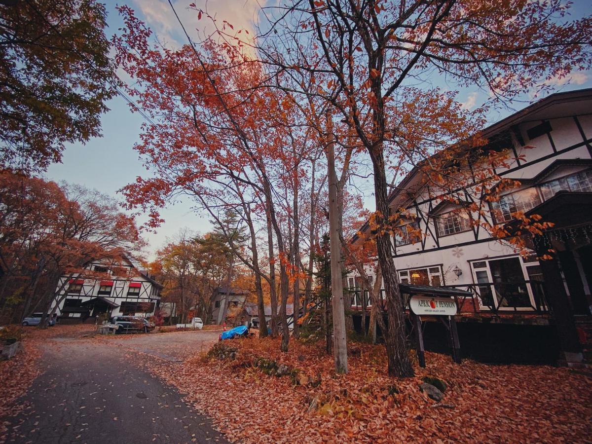 Apricot Pension Hakuba Exteriör bild